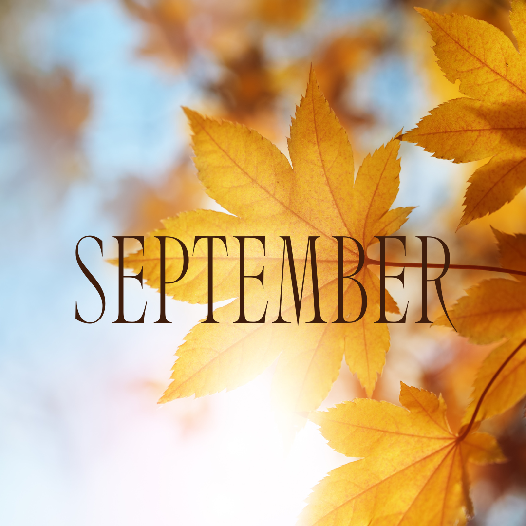 September Newsletter
